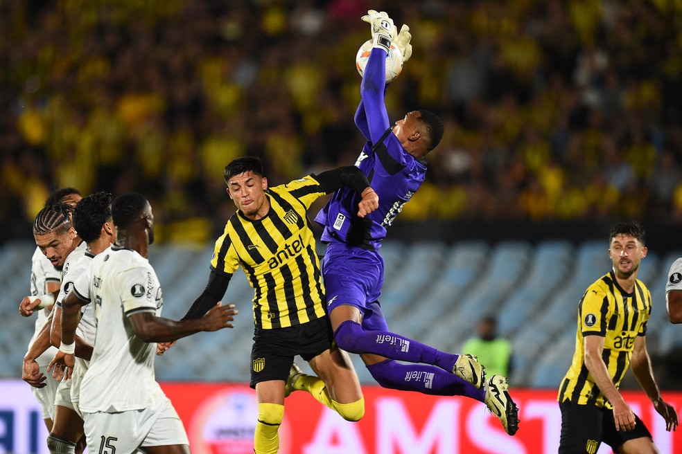 Botafogo garante R$ 94 milhões em premiação com classificação para final da Libertadores | botafogo | ge