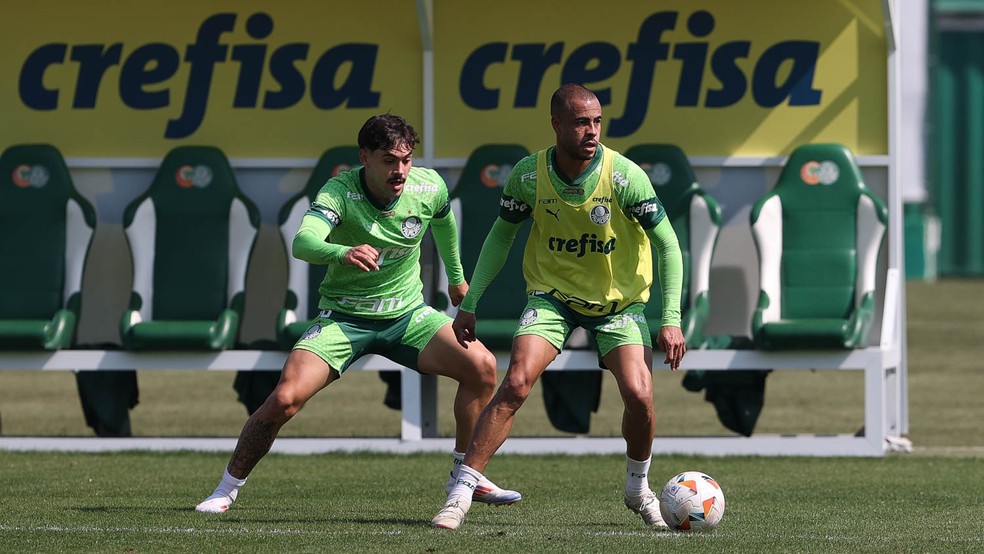 Palmeiras esvazia DM em momento decisivo do ano, mas ainda vive incerteza com Dudu | palmeiras | ge