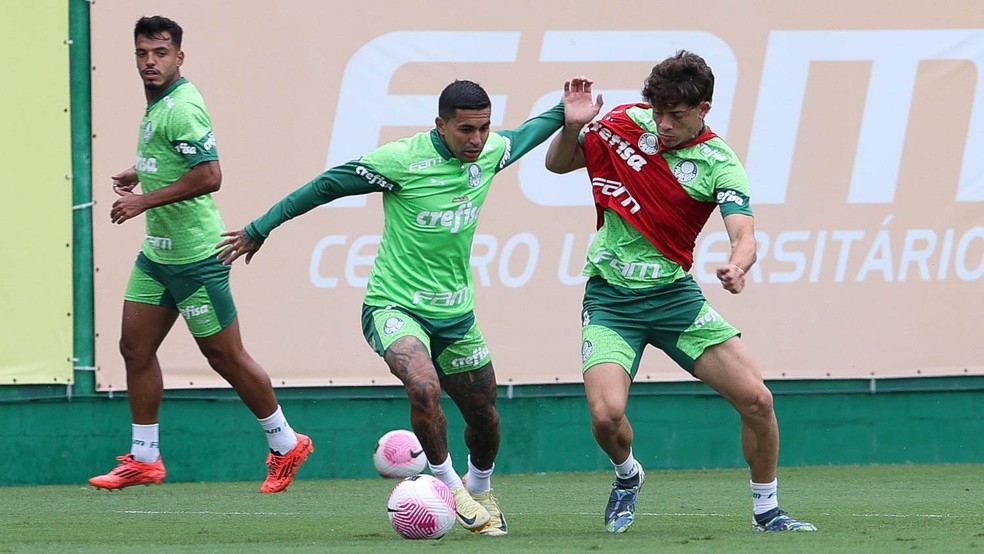 Palmeiras faz jogo-treino em preparação para dérbi contra Corinthians | palmeiras | ge