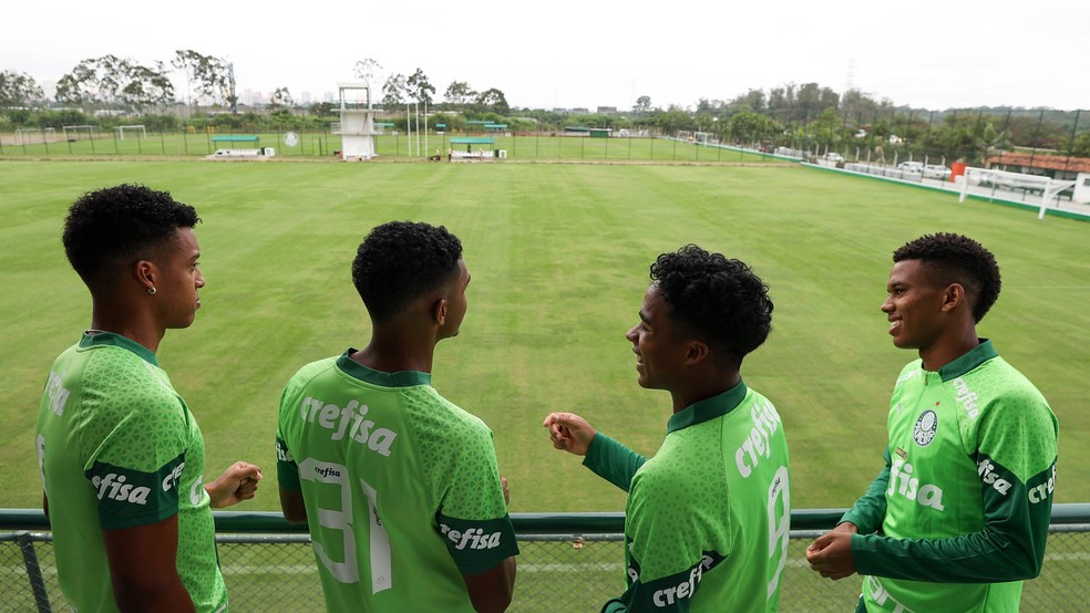 Como Palmeiras pretende superar meta da geração de R$ 1 bilhão | palmeiras | ge