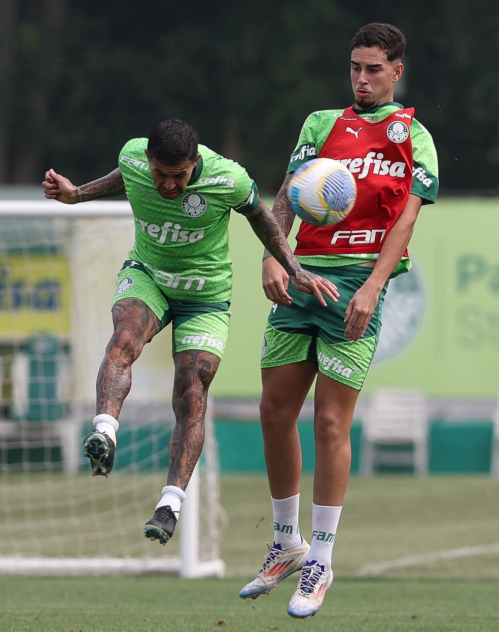 Reforço ex-Fluminense, Agner treina com profissionais do Palmeiras | palmeiras | ge