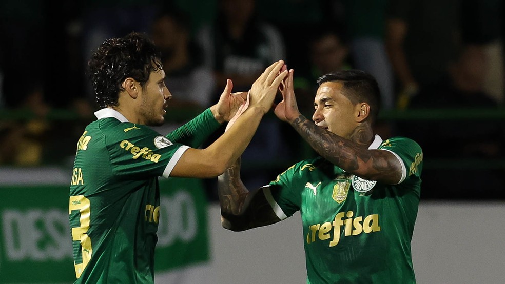 Mais difícil? Compare caminho do Palmeiras com Botafogo e Fortaleza na briga pelo título | palmeiras | ge