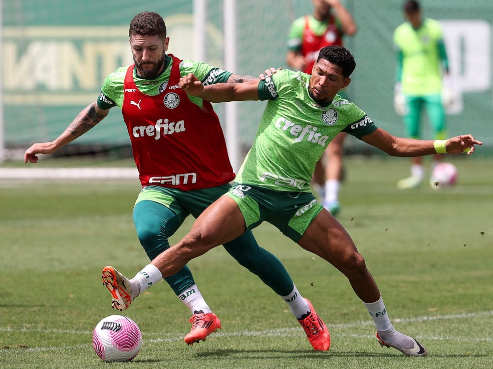 Santos fica perto de tirar Zé Rafael do Palmeiras e retoma contatos para contratar Rony | palmeiras | ge