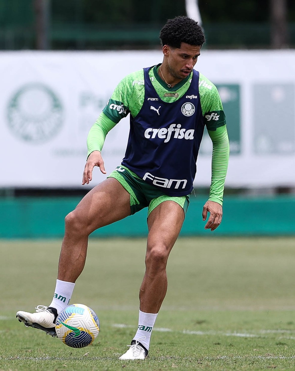 Palmeiras volta a ser "baliza zero" e aposta na recuperação defensiva na luta pelo título | palmeiras | ge