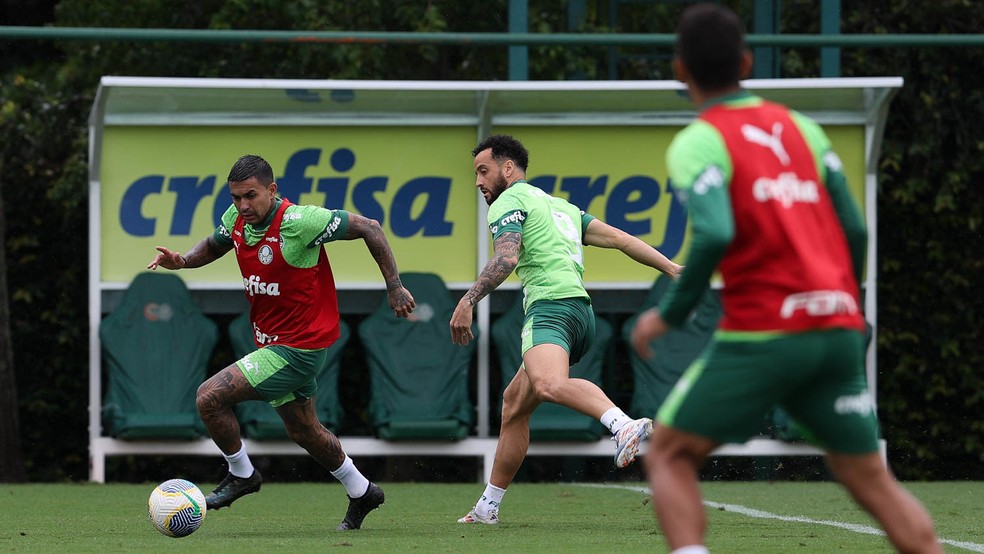 Escalação: Palmeiras pode ter novidades na defesa e ataque para enfrentar o Grêmio | palmeiras | ge