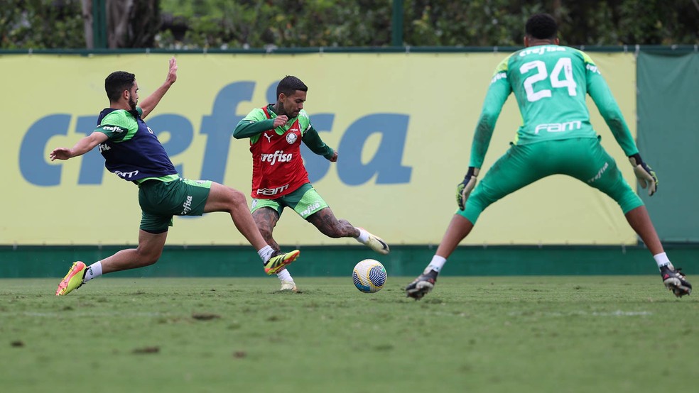 Palmeiras traça estratégia para usar Data Fifa a favor de arrancada final pelo tricampeonato brasileiro | palmeiras | ge