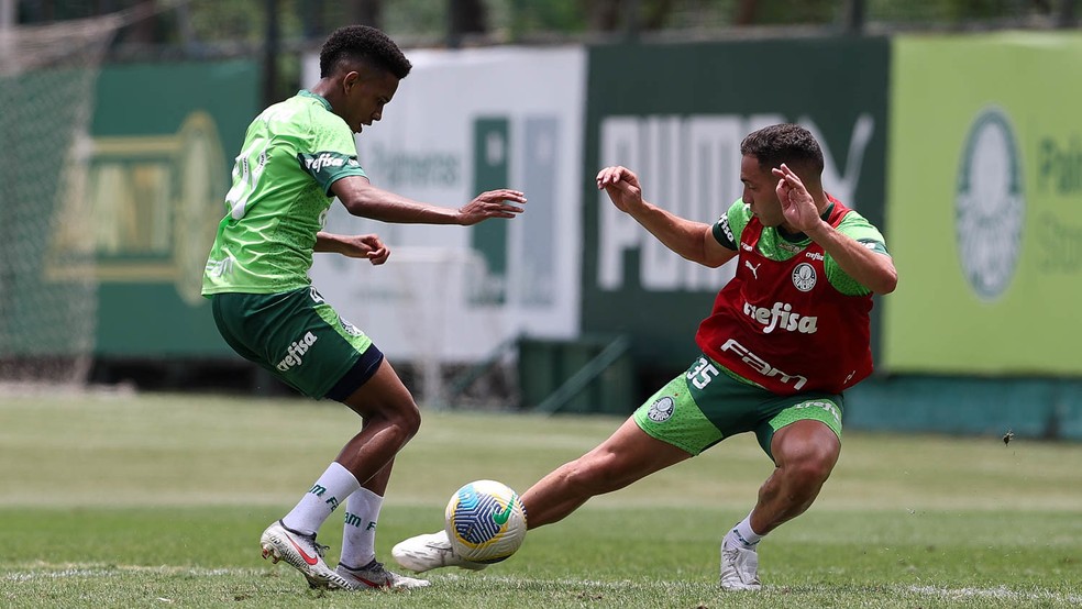 Palmeiras tem Estêvão de volta e ainda fará exames em Murilo; Felipe Anderson não preocupa | palmeiras | ge