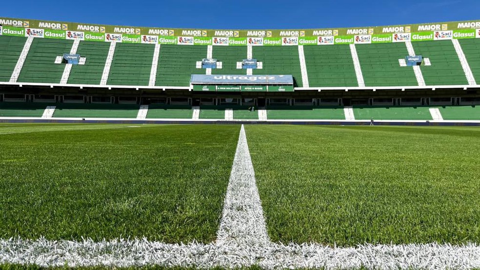 Palmeiras x Cuiabá será no Brinco de Ouro, estádio do Guarani | palmeiras | ge