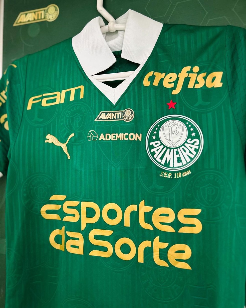 Palmeiras cumprirá contrato de patrocínio com casa de aposta, agora liberada pelo Governo | palmeiras | ge