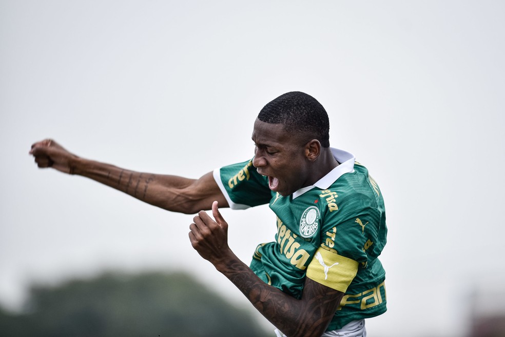 Palmeiras alinha ida de Patrick ao Atlético-MG e aguarda definição sobre Menino para ter Paulinho | palmeiras | ge