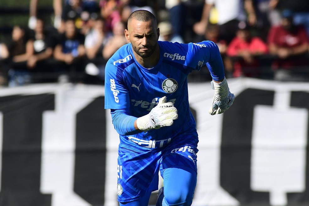 Da desconfiança à Seleção: Weverton retoma melhor forma e é pilar do Palmeiras no Brasileirão | palmeiras | ge