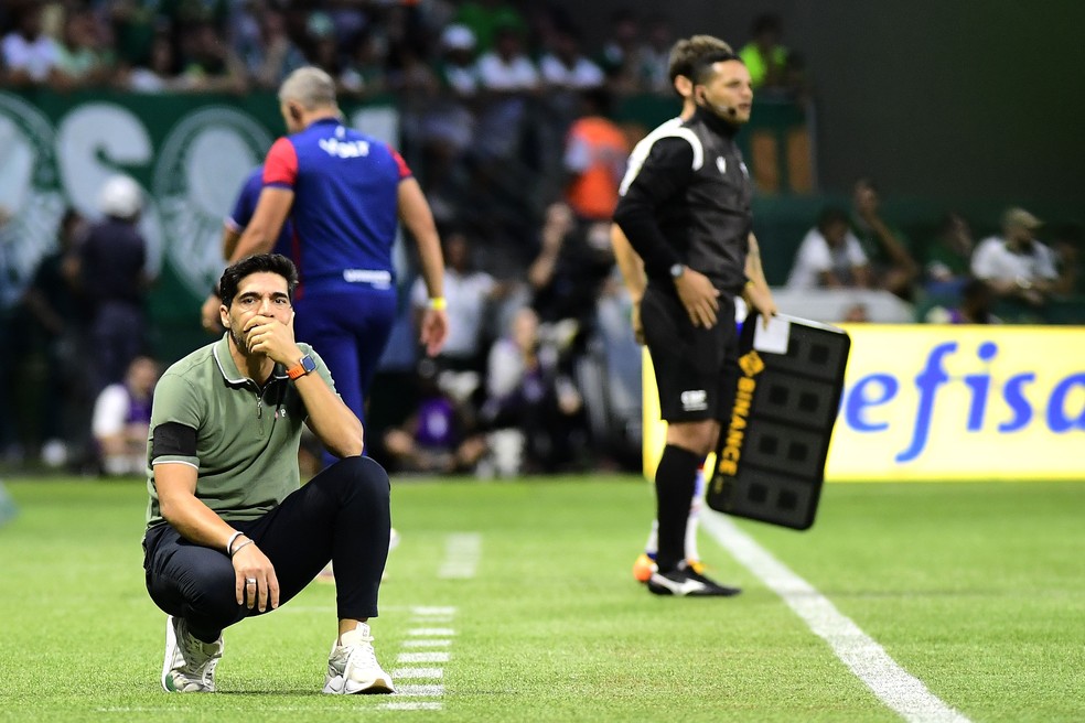 Palmeiras vê Botafogo mais longe após tropeço em casa e aposta em confronto direto; simule a reta final | palmeiras | ge