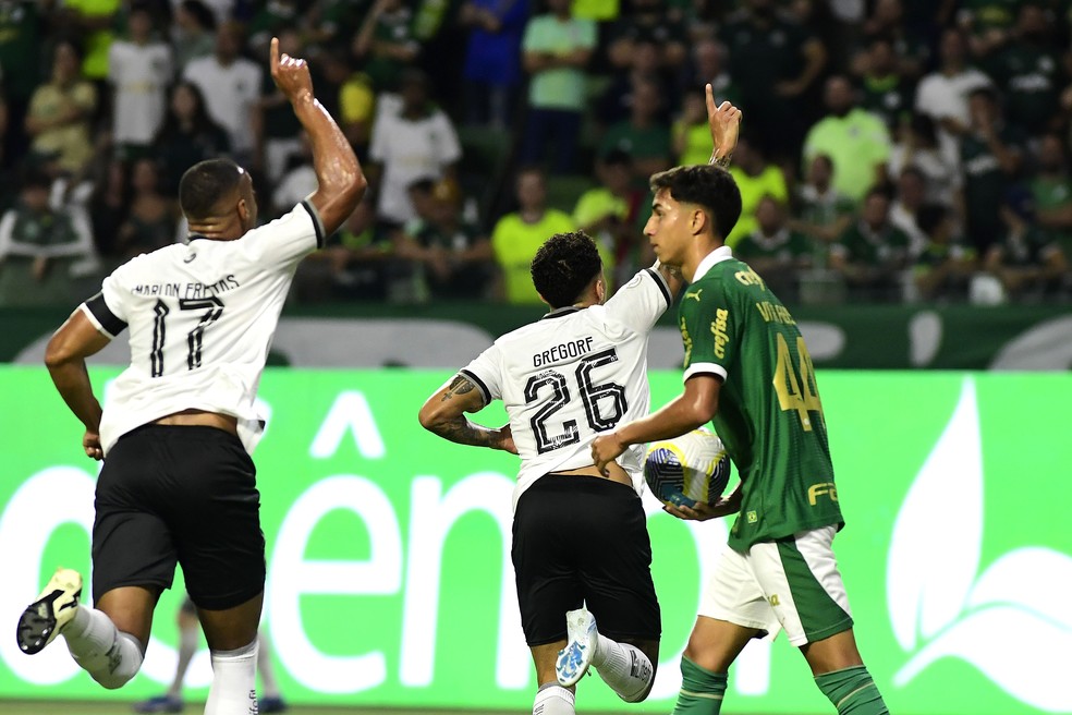 Tiro de meta ou escanteio? Palmeiras reclama de lance que originou gol do Botafogo | palmeiras | ge