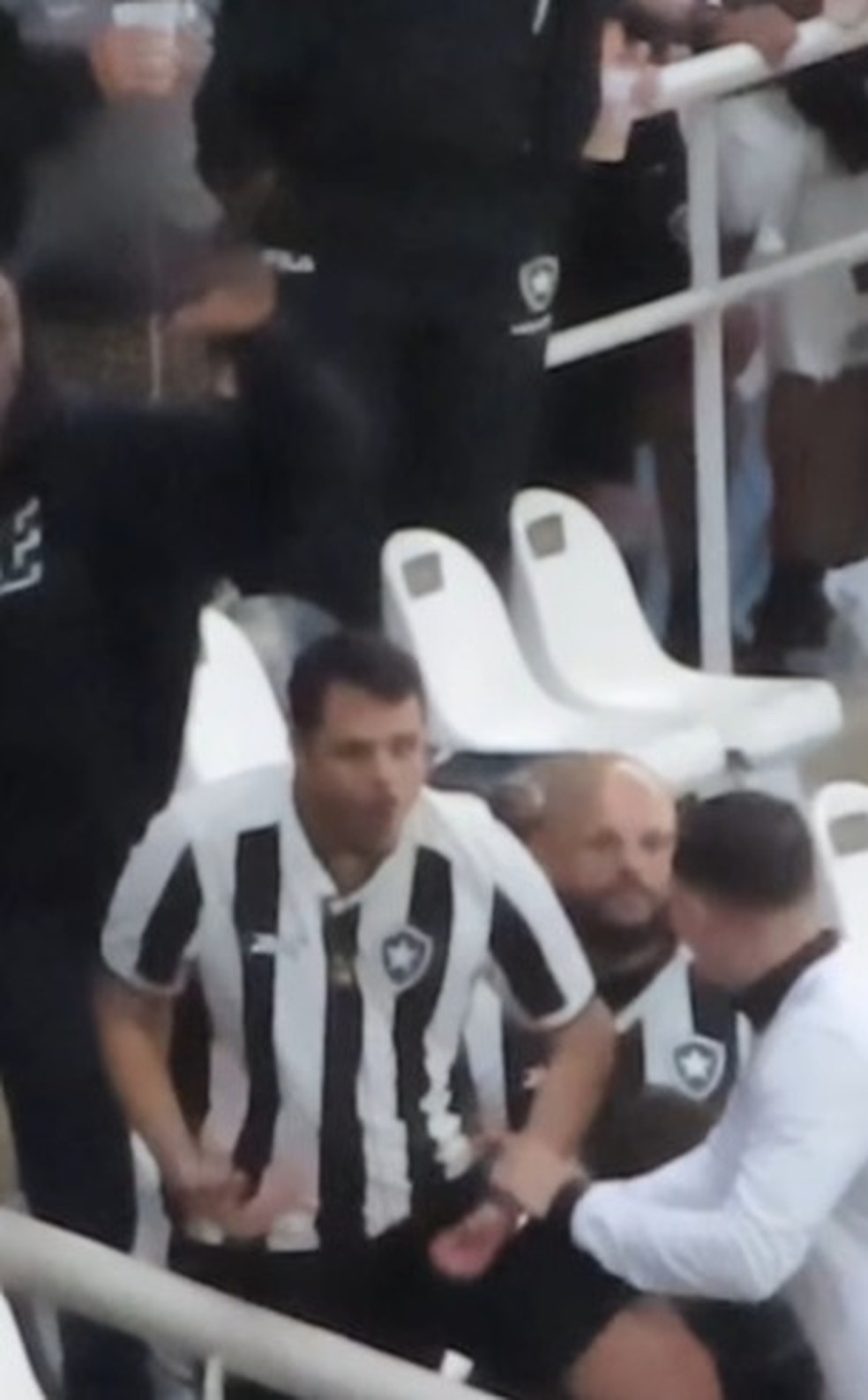 Torcedor do Botafogo é flagrado fazendo gestos racistas em partida contra o Palmeiras | botafogo | ge