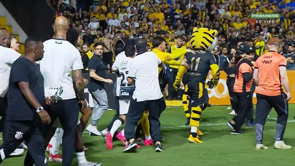 Criciúma x Corinthians: jogo tem briga na arquibancada e confusão com mascote; vídeo | corinthians | ge